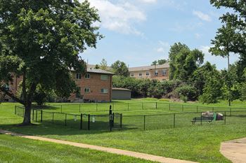 Dog park